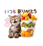 子猫のかわいい敬語（個別スタンプ：17）