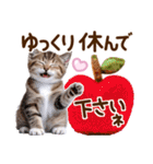 子猫のかわいい敬語（個別スタンプ：21）