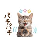 子猫のかわいい敬語（個別スタンプ：24）