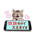 子猫のかわいい敬語（個別スタンプ：28）