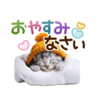 子猫のかわいい敬語（個別スタンプ：31）