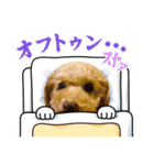 ふつうに使えるくぅ（個別スタンプ：5）