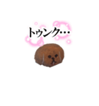 子犬 あいさつ（個別スタンプ：2）