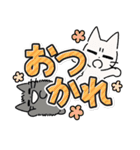 しかるねこ30（でか文字）（個別スタンプ：2）