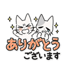 しかるねこ30（でか文字）（個別スタンプ：3）