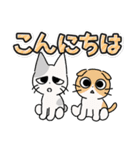 しかるねこ30（でか文字）（個別スタンプ：15）