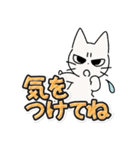 しかるねこ30（でか文字）（個別スタンプ：19）