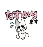 しかるねこ30（でか文字）（個別スタンプ：20）