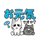 しかるねこ30（でか文字）（個別スタンプ：30）