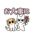 しかるねこ30（でか文字）（個別スタンプ：31）