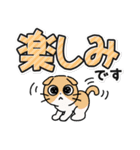 しかるねこ30（でか文字）（個別スタンプ：34）