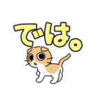 しかるねこ30（でか文字）（個別スタンプ：39）