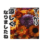 大きめ文字の敬語が飛び出す/動く秋の花（個別スタンプ：10）