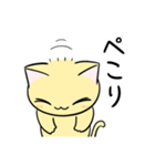 もっちり丸顔ねこ（個別スタンプ：26）