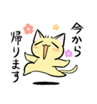 もっちり丸顔ねこ（個別スタンプ：31）