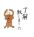 【美文字】と【雑トイプー】（個別スタンプ：4）