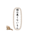 猫のわたげ（個別スタンプ：8）