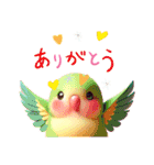 可愛いインコたちの姿（個別スタンプ：11）