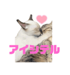 お酒とネコ好きな日常会話 6（個別スタンプ：31）