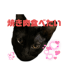 お酒とネコ好きな日常会話 3（個別スタンプ：10）