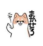 ちょっとうざい態度のうるさい犬（個別スタンプ：23）