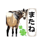 ウマヤカントリーファームスペシャル（個別スタンプ：3）