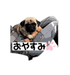 ウマヤカントリーファームスペシャル（個別スタンプ：13）