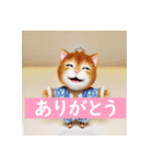 AI de 愛くるしい子猫ちゃん 韓流編（個別スタンプ：5）