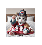 AI de 愛くるしい子猫ちゃん 韓流編（個別スタンプ：34）