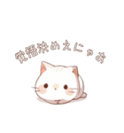 任侠猫さん（個別スタンプ：5）