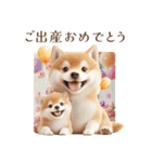 柴犬｜お祝いスタンプ（個別スタンプ：8）