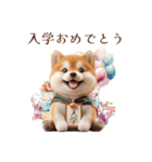 柴犬｜お祝いスタンプ（個別スタンプ：10）