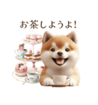 柴犬｜お祝いスタンプ（個別スタンプ：38）