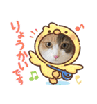 猫の寅次郎くん。vol.6（個別スタンプ：9）