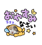 猫の寅次郎くん。vol.6（個別スタンプ：37）