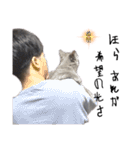 長毛こねこちゃん「わさび」②（個別スタンプ：18）