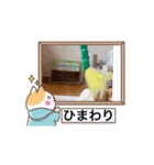 ひまにゃんず（個別スタンプ：6）