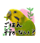 セキセイインコの普段使い（個別スタンプ：21）