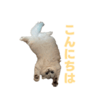 毎日使えるもち＆むうの優しい敬語講座（個別スタンプ：2）