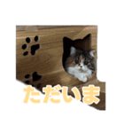 毎日使えるもち＆むうの優しい敬語講座（個別スタンプ：7）