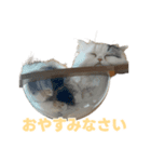 毎日使えるもち＆むうの優しい敬語講座（個別スタンプ：11）