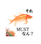 憂鬱な金魚（個別スタンプ：2）