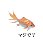 憂鬱な金魚（個別スタンプ：7）