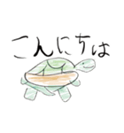 爬虫類 日常会話スタンプ（個別スタンプ：2）