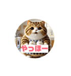 お弁当箱の歌の猫スタンプ3（個別スタンプ：1）