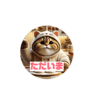 お弁当箱の歌の猫スタンプ3（個別スタンプ：14）