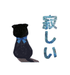 宵猫-Yoineko- /感情表現多め（個別スタンプ：30）