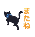 宵猫-Yoineko- /感情表現多め（個別スタンプ：37）