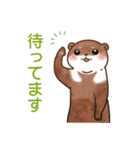 いやしの日常 カワウソ編（個別スタンプ：25）