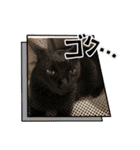 サンクレチン＆ペトシル（個別スタンプ：33）